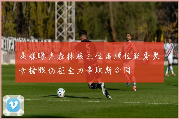 美媒曝光森林狼三位高顺位新秀聚会榜眼仍在全力争取新合同