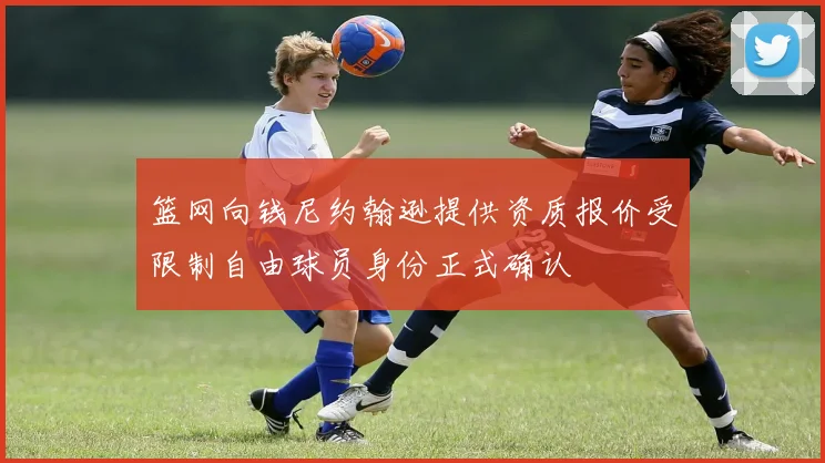 篮网向钱尼约翰逊提供资质报价受限制自由球员身份正式确认
