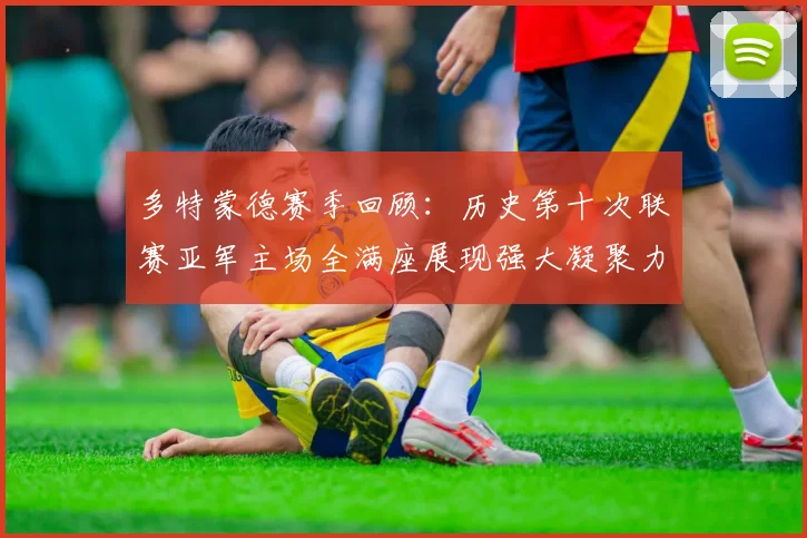 多特蒙德赛季回顾：历史第十次联赛亚军主场全满座展现强大凝聚力